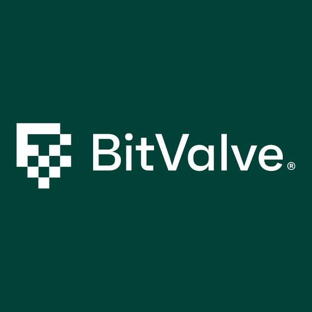 BitValve